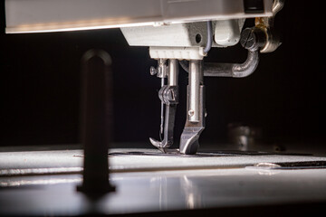 The needle with thread in the sewing machine.