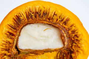 Ripe Pequi fruit (Caryocar brasiliense), showing the dangerous thorns in detail inside the ripe fruit. Dangerous food fruit