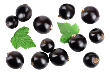 black currant with leaf isolated on white background. Top view. Flat lay pattern. With space for your text