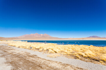Laguna Canapa view, Bolivia