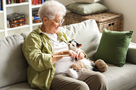 Senior woman with cute cat and knitting needles resting at home