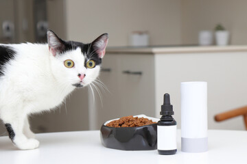 Cat suppliment bottle mockup, cats pet food in bowl and cat on table