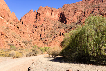 Bolivian canyon near Tupiza,Bolivia