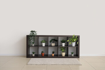 TV stand with plants near light wall in room