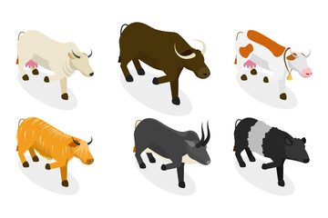 3D Isometric Flat  Set of Bulls And Cows, Farm Animals