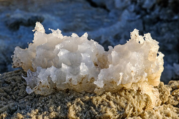 Obraz na płótnie Canvas Dead Sea coast with stones covered by salt