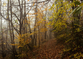 Paysage Aveyron Occitanie