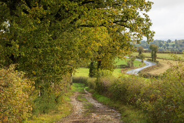 Paysage Aveyron Occitanie