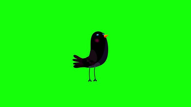 Ousel black bird character simple move bluebox. Blinking eyes seamless loop behaviour cartoon animation.