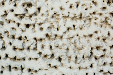 Texture of old wall as background