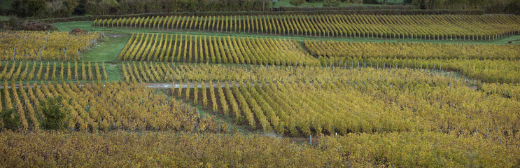 Paysage Aveyron Occitanie