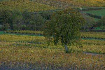 Paysage Aveyron Occitanie
