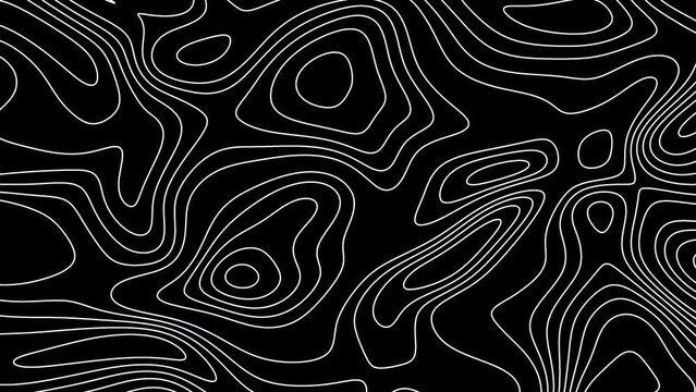 Seamless loop fractal isolines background. Topographic map like abstract backdrop