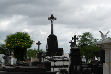 Obraz premium View of the Campo Santo cemetery in the city of Salvador, Bahia.