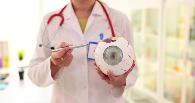Ophthalmologist hand indicates anatomy of eye on human model in clinic