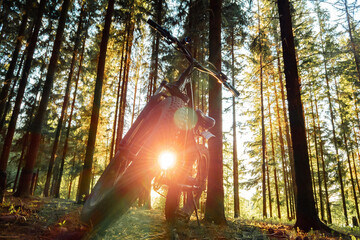 Fatbike in the forest against the background of sunset. Pleasant sports hobby. The concept of a...
