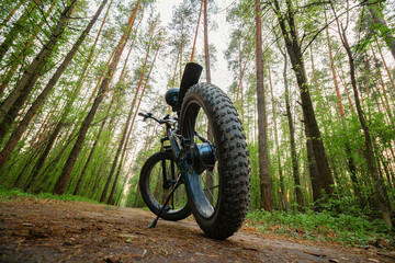 Electric bike with thick wheels on the background of a forest. Pleasant sports hobby. Black fatbike.