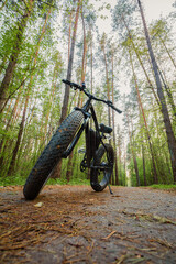 Electric bike with thick wheels on the background of beautiful nature. Pleasant sports hobby. Black...