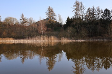 Fototapeta premium Reflection in water