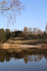 Reflection in water