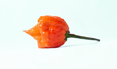 Carolina reaper, hottest chilli peper in a world, isolated on a white background