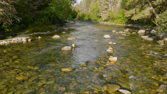 Aerial Glide Along a Rocky Forest Stream in Manitoulin