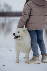 A girl walks with her beloved pet Samoyed in winter on the shore of a lake in the park.