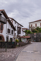 Naklejka premium Rural Navarra village, cozy homes, autumnal serenity.