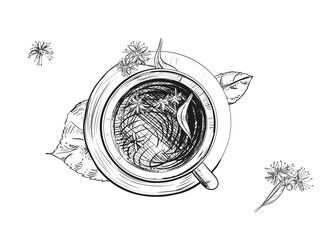 Hand drawn sketch black and white illustration cup of tea linden, leaf, flowers. Vector illustration. Elements in graphic style label, sticker, menu, package. Engraved style.