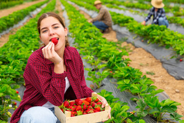 Portrait of young female farmer enjoying freshly harvested sweet strawberry on farm plantation