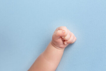 hand of a newborn baby. hand on a blue background. baby hands