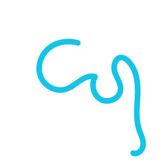 Squiggly line decor vector 