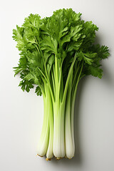 Celery .Portrait. Ideal for advertising or banner.