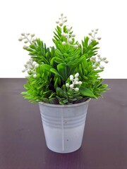 Fake plant on table with green leaves and white flowers.