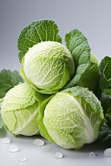 Fototapeta premium head of cabbage