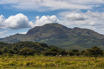 Fototapeta premium Cerro Guacamaya en Panamá 