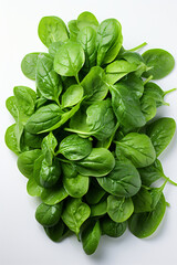 Fototapeta na wymiar Spinach. Portrait. Ideal for advertising or banner.