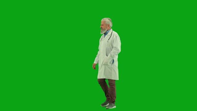 Portrait of aged man medic on chroma key green screen. Senior doctor in white coat walking slowly in hospital, greeting patients and nurses.