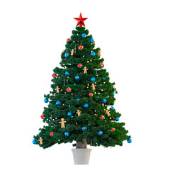 Christmas Tree with Red and Blue christmas balls Isolated in white pot