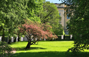 Slottsparken - Palace Park in Oslo. Norway