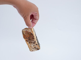 hand holding rotten and moldy tempeh, expired tempeh isolated on white background