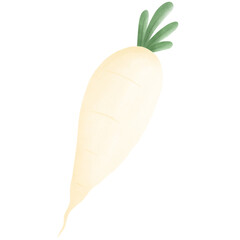 Radish