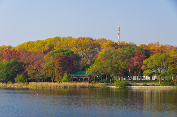 Fototapeta premium Late autumn scenery of Wuhan East Lake Scenic Area