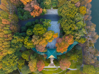 Late autumn scenery of Wuhan East Lake Scenic Area
