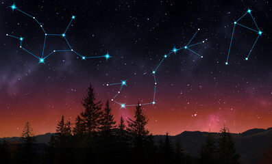 Different constellations in starry sky over forest at night