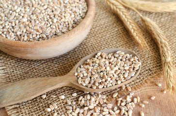 Wheat groats in a wooden spoon and a bowl with ears on burlap on a wooden background. Rustic style. Concept of healthy food. Horizontal orientation. Selective focus