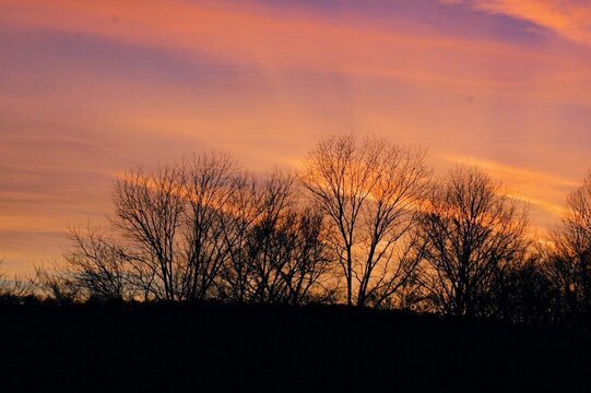 sunset over the meadow