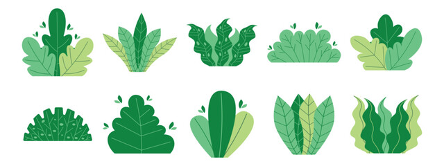 Set of cute bushes in flat style. Collection green bushes plants, isolated on white background.