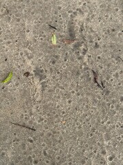 wet soil in the ground after a heavy rain .