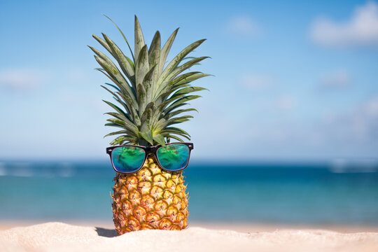 Two pineapples with trendy sunglasses in tropical paradise